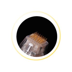 2019 Hot sale auto control gold plating Microneedling RF beauty Machine