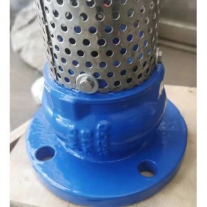 GGG50 H42X cast iron flanged foot valve manufacturer in China