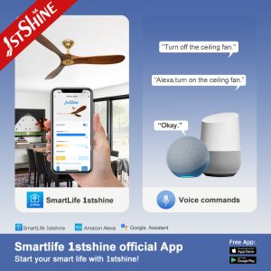 3 Wooden Blades Decorative 60 Inch Ceiling Fan 220V With Remote Control