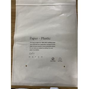 Custom Translucent Biodegradable Paper Bags Logo And Color Printing Supported