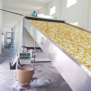 HengShou SGS Continuous Belt Dryer Cinnamon Orange Peel Drying Machine Wearproof