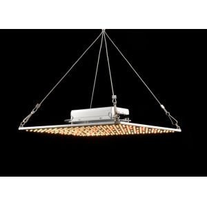 100W 288pcs Chips Quantum Board Grow Light