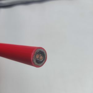 Instrumentation Cable 300/500V 2C2.5 CU/MGT/XLPE/OS/FR/LSZH/GSWA/LSZH 2x2.5