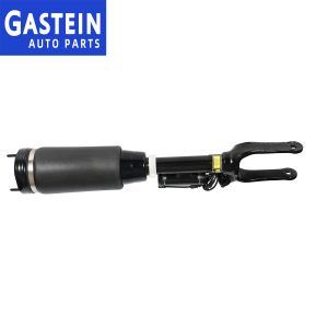 2513203013 Front Shock Absorber