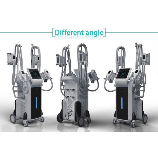 Professional 4 handles -15°-5° Celsius Multi-heads Fast Liposuction Freezing Fat