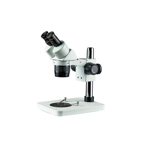 Quality Cheap Two Magnification (10x/20x, 10x/30x, or 20x/40x) Stereo Zoom Microscope for sale