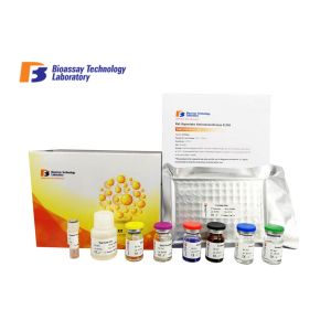 Wholesale Laboratory Research Bovine Toll-like Receptor 4 ELISA Assay Kit With High Specificity from china suppliers