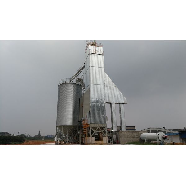 Customizable Paddy Drying Machine For Specific Rice Processing Needs With