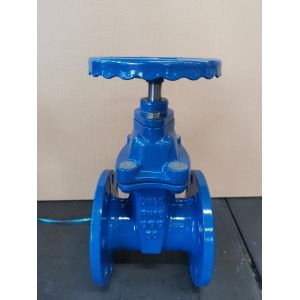 Customized Port Size Gate Valve Flanged Resilient Seated for Mining Applications