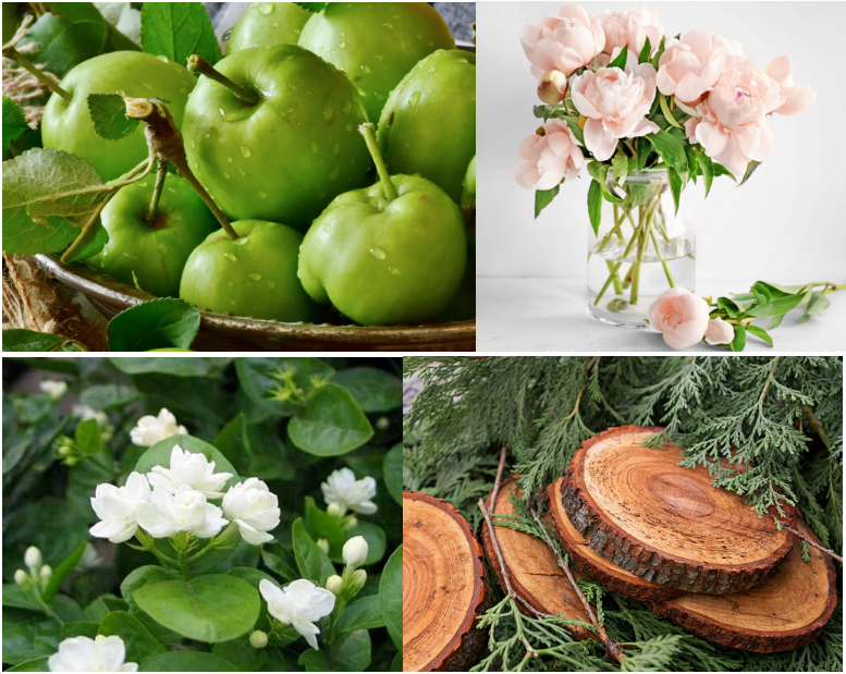 Free Sample 10ml Lacos Te Red Fragrance Oil Essence For Perfume Making 100% Pure