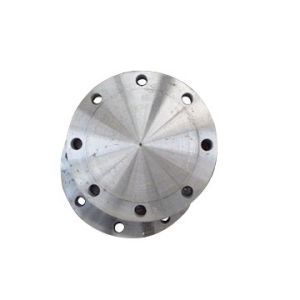 Forging Galvanized surface Casting SS Blind Flange