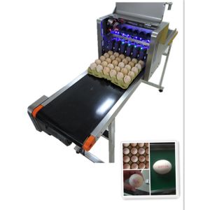 Eggs Continuous Inkjet Printer With Date Automatically Updated Programme