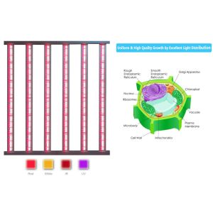 Dimmable IP65 White LED Grow Light LM301B 3000K Full Spectrum