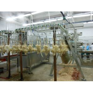 Chicken Plucking Machine Different Output Decided by Processing Demands