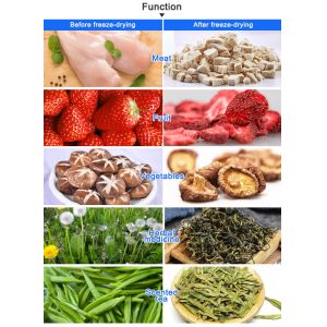 Small Lyophilizer Freeze Dryer Toption Freeze Drying And Lyophilization