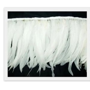 Shipping DHL/UPS/FEDEX/EMS/TNT White Coque Feather Fringe Trim with Satin Ribbon
