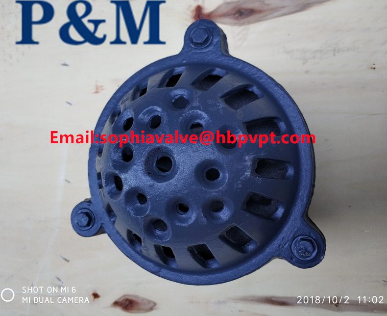 cast iron GG20 3INCH foot valve