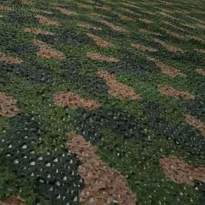 Factory Custom Ripstop Double Layers 600D Desert Jungle Camouflage Netting for
