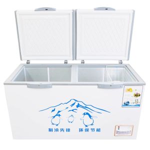 Wholesale Large Capacity Single Temperature Chest Freezer Deep Freezer