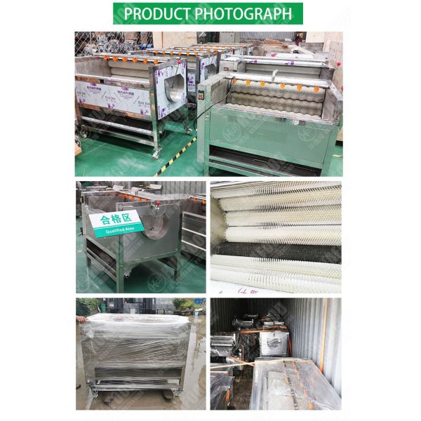 1000kg/H 1200mm Brush Roller Potatoes Peeling Equipment