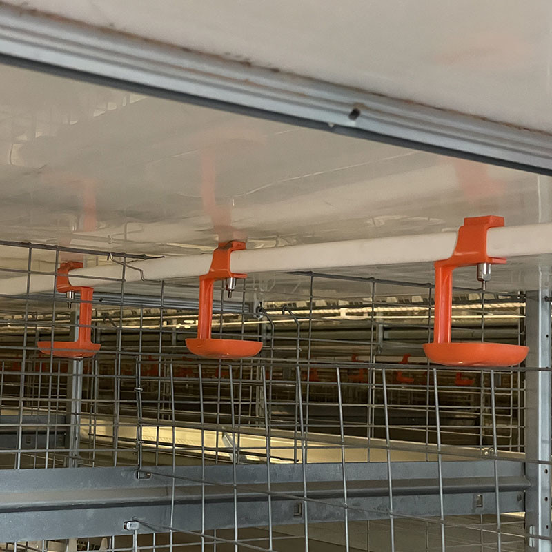 8 Degree Bottom Commercial Battery Layer Cage With PP Manure Belt