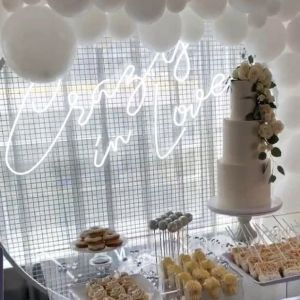 Acrylic Letters LED Backlit Illuminated Logo Mini Custom Flex Neon Light Up