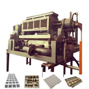 Large Capacity Rotary Egg Tray Molding Machine Low Energy Consumption