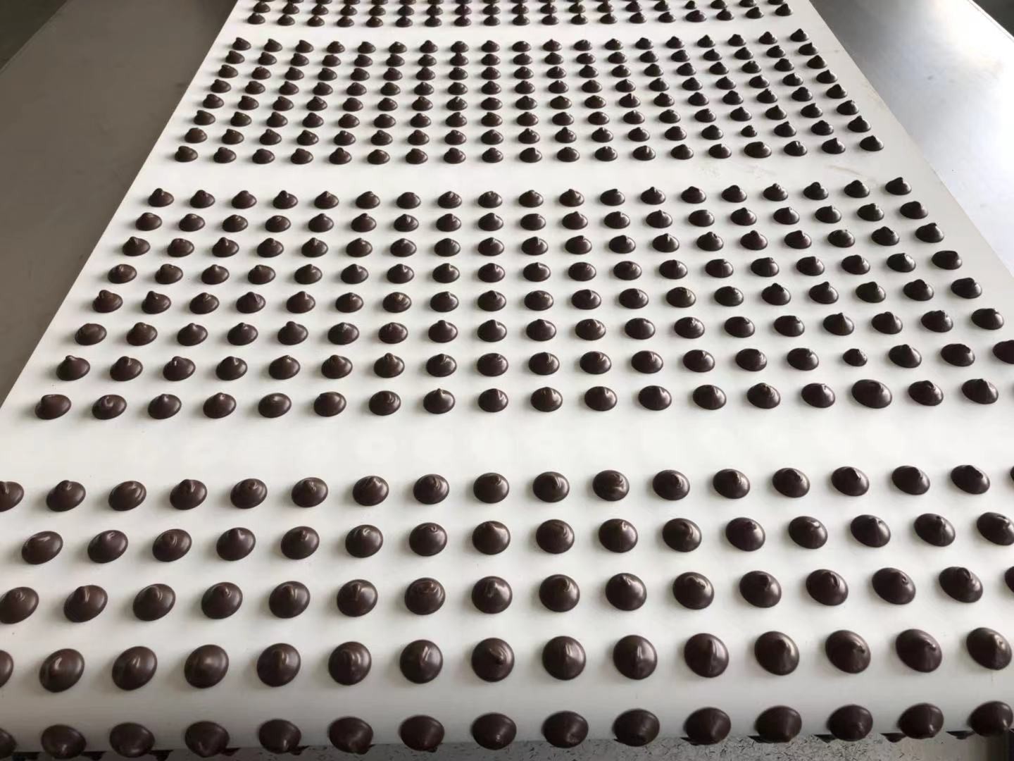 Automated Chocolate Chip Production Line High Efficiency Industrial Solution