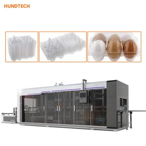 120mm 3 Stations Egg Tray Maker Machine Plastic Containers 2KW Stack Servo