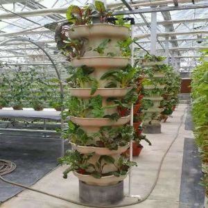Vertical Farming Container Greenhouse in 40HQ Reefer with Hydroponic Container