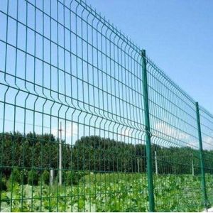 Anping TLWY Curved 3D Wire Mesh Fence Green Galvanized ODM OEM