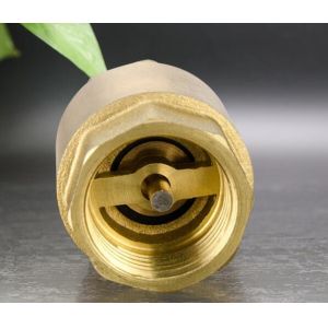 NPT 20 Bar Brass Vertical Spring Threaded Check Valve