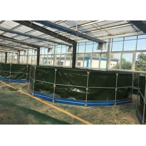 Multi Functional PVC Fish Pond Flexible Adaptation For Large Medium And Small