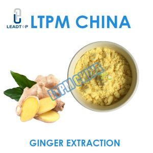 Ss Herb Extraction Equipment Ganoderma Grape Seed Ginkgo Ginger Extraction