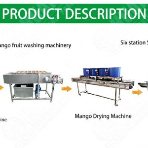 Cleaning Vegetable And Fruit Washing Machine Processing Line High Efficiency