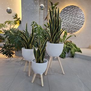 Rustic Fiber Clay Planter Waterproof With Drainage Holes