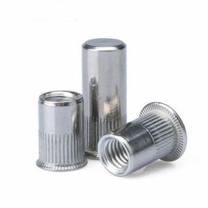 Stainless Steel 304 Split Rivet Nut M10 Diameter Flat Head