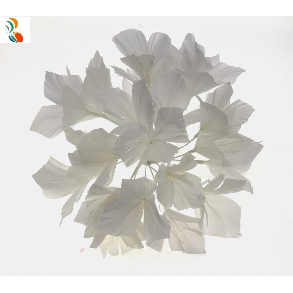Shipping via Fedex Party Decoration Stripped Goose Feather Flower Mount with
