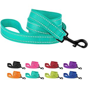 Heavy Duty Nylon Dog Leash