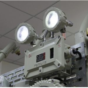 Wholesale ATEX Certified 6W Explosion‑Proof Twin‑Head Emergency Light – Wall‑Mounted, IP65, Class I/Zone 1 &amp; 2 from china suppliers