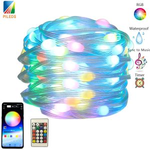 Smart App Control LED Christmas String Light RGB Bluetooth USB For Wedding
