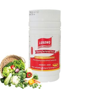 Best Boost Plant Growth Premium Nutrient Solutions Fertilizer