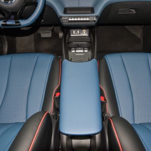 Level Large and Medium Vehicles 2023 Trending 401km Knight Byd Dolphin Electric