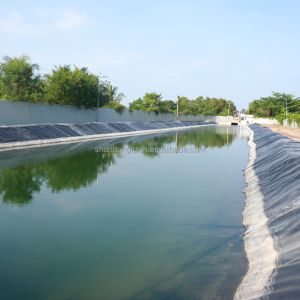 1m-8m Width HDPE Geomembrane Liner for Fish Farm Pond Project Solution