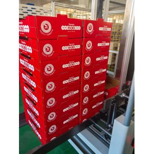 380v50Hz Automatic Carton Folding Machine Featuring Automatic Feeding and Speed