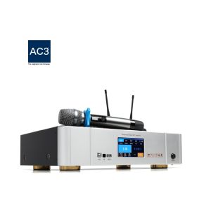 Panel Design 250W AC110V Digital Karaoke Power Amplifier