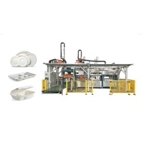 Automated Biodegradable Sugarcane Bagasse Pulp Molding Machine With Double
