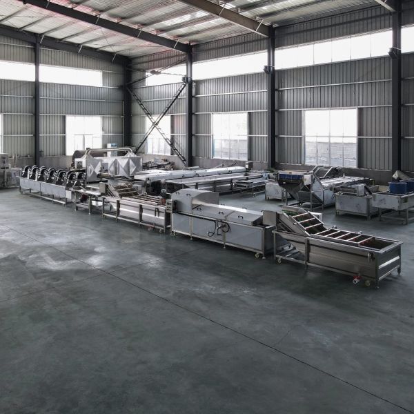 Advanced Fruit and Vegetable Processing Equipment for Cleaning