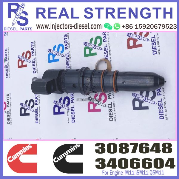 M11 ISM11 QSM11 Cummins Diesel Injector Engine Fuel Injection 3406604 3087648