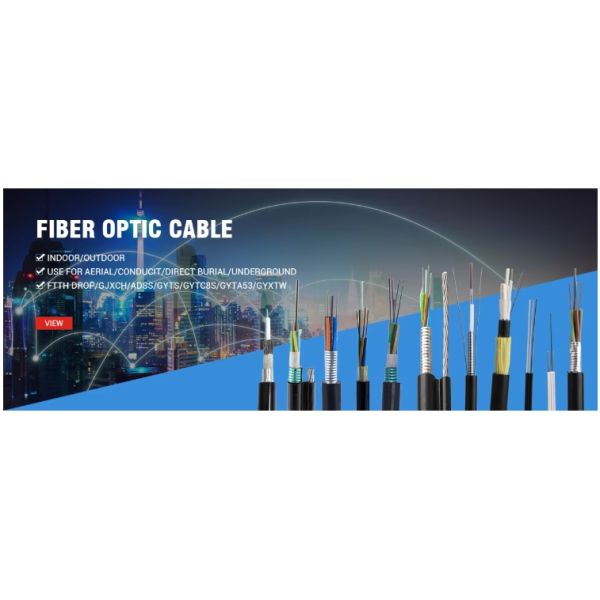 Fiber Optic 2 cores